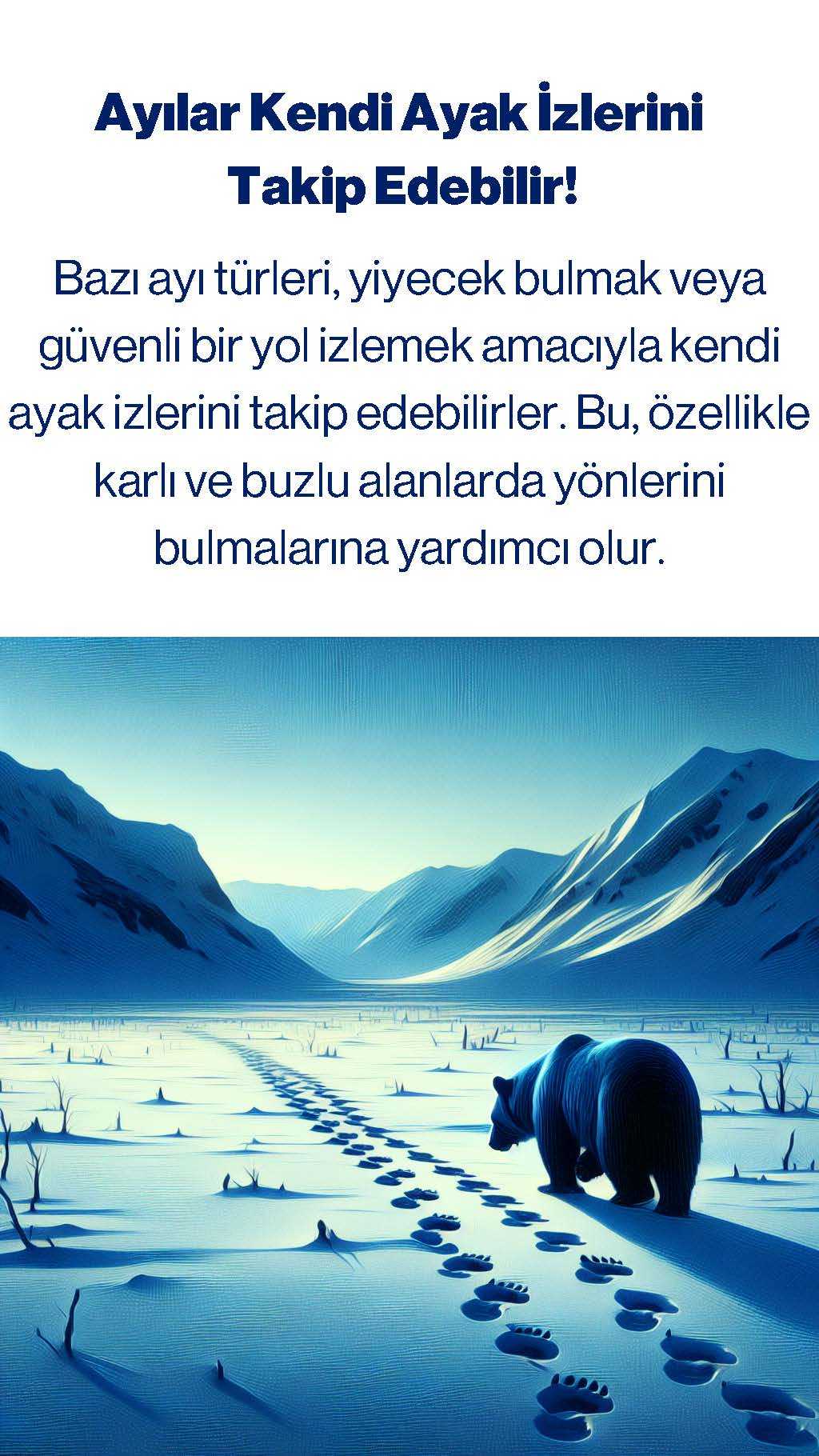 gulumsetenbilgiler-004-1