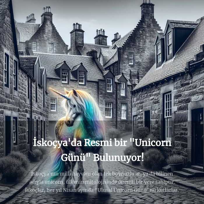 gulumsetenbilgiler-009